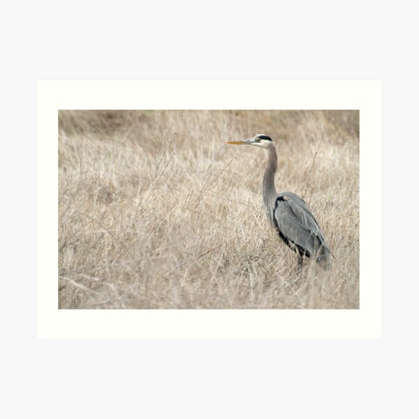 Watching Art Print