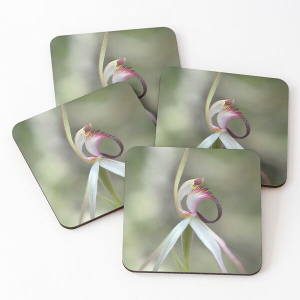 Item preview, Caladenia rigida designed and sold by Ben Loveday.