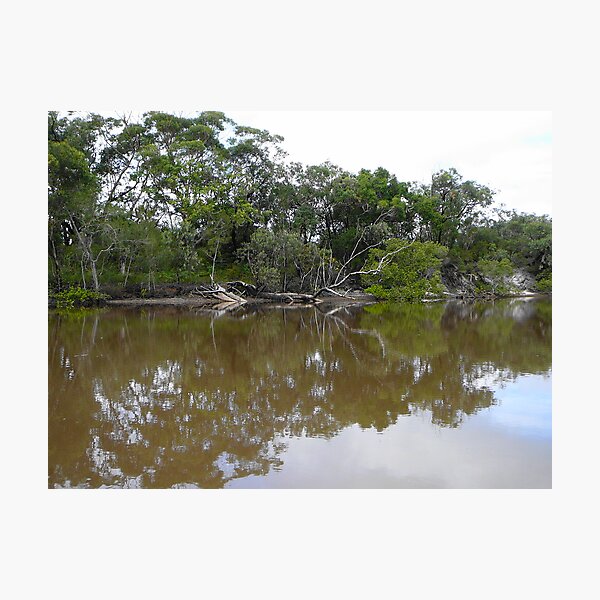 Item preview, Fishing For Mudcrabs, Corindi River, NSW designed and sold by Robyn J. Blackford.