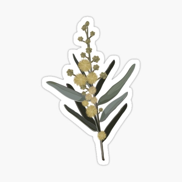 Vintage Wattle WildFlower Pattern - Vintage Greens and Yellows Sticker