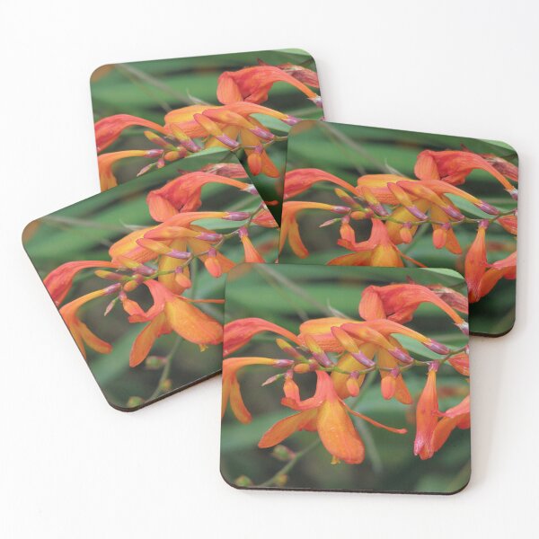 Item preview, Crocosmia - Montbretia designed and sold by Sharon Perrett.