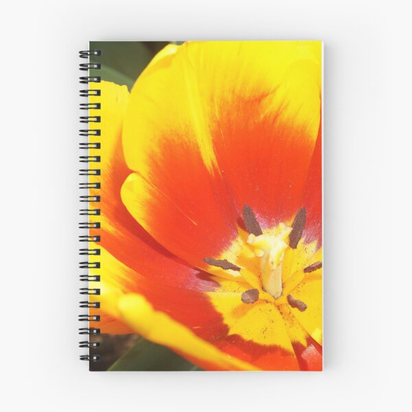 Item preview, yellow and red designed and sold by BigAndRed.