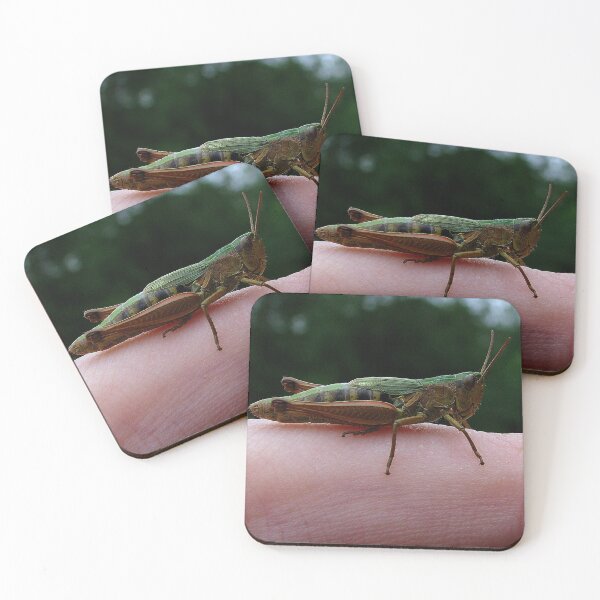 Item preview, Finger Hopper designed and sold by Sharon Perrett.