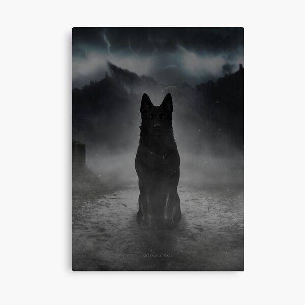 Schwarzer Schäferhund im Nebel Leinwanddruck