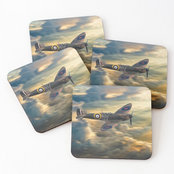 One of the few Coasters (Set of 4)