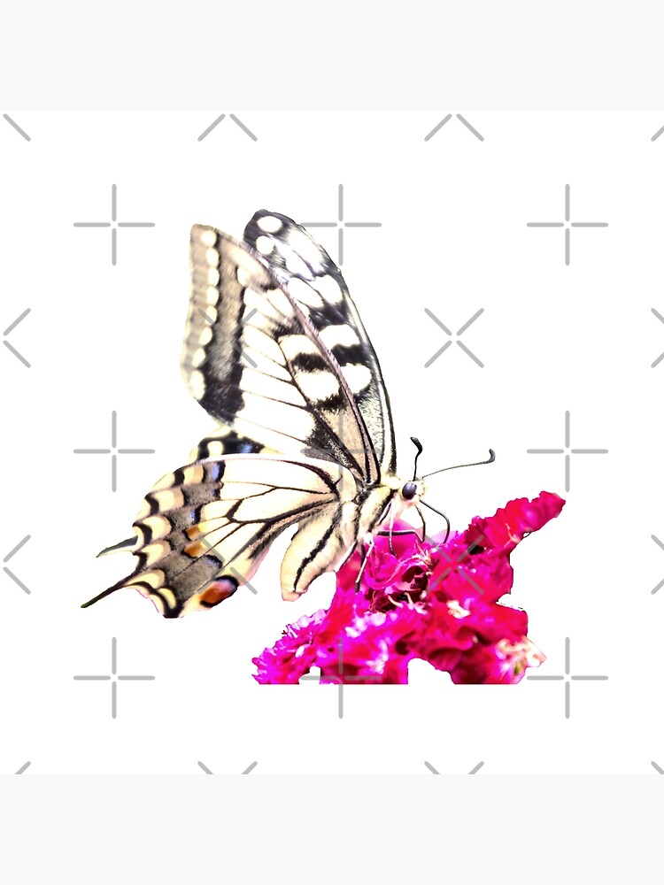 Thumbnail 2 von 2, Stofftasche, Geschenkidee Foto Schwalbenschwanz designt und verkauft von Igelchen.