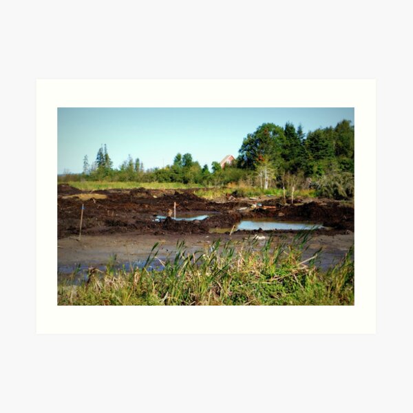 Oak Island swamp Art Print