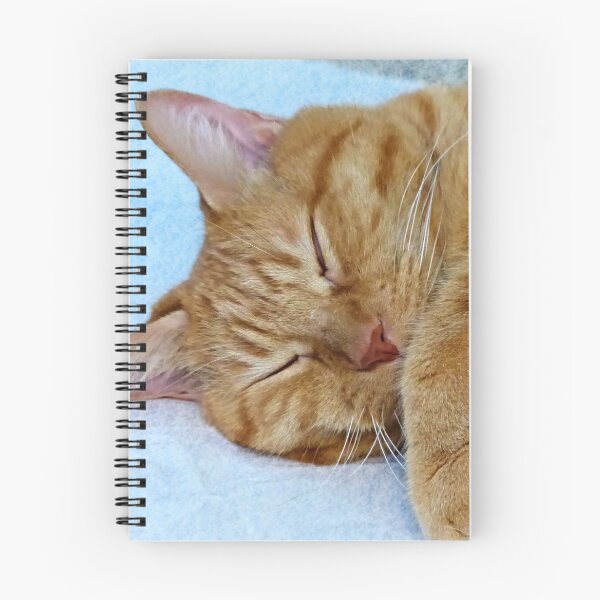 Item preview, Sleeping Cat designed and sold by Frankie Cat Photography.