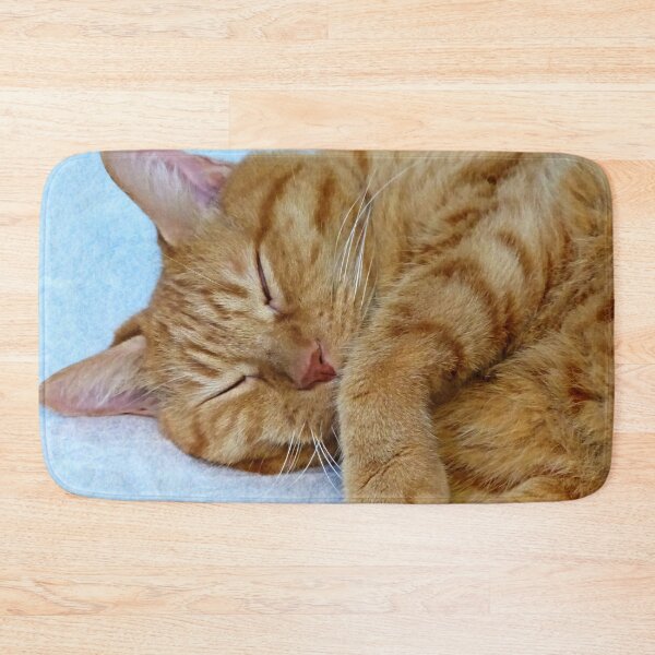 Item preview, Sleeping Cat designed and sold by Frankie Cat Photography.