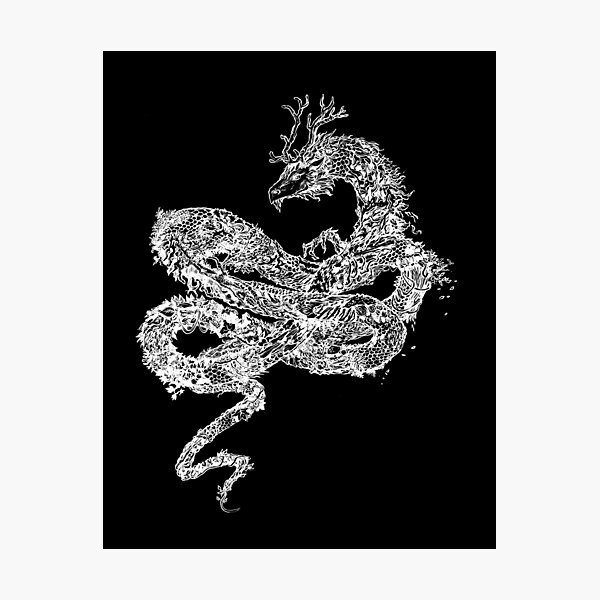 Autumn Dragon - White transparent version Photographic Print
