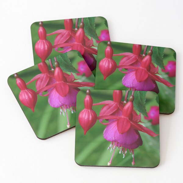 Item preview, A beautiful Fushia designed and sold by Sharon Perrett.