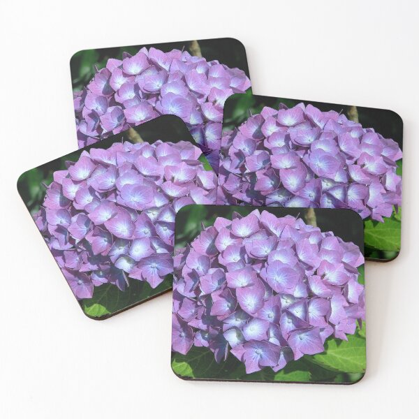 Aperçu de l'œuvre Hortensia créée et vendue par Sharon Perrett.