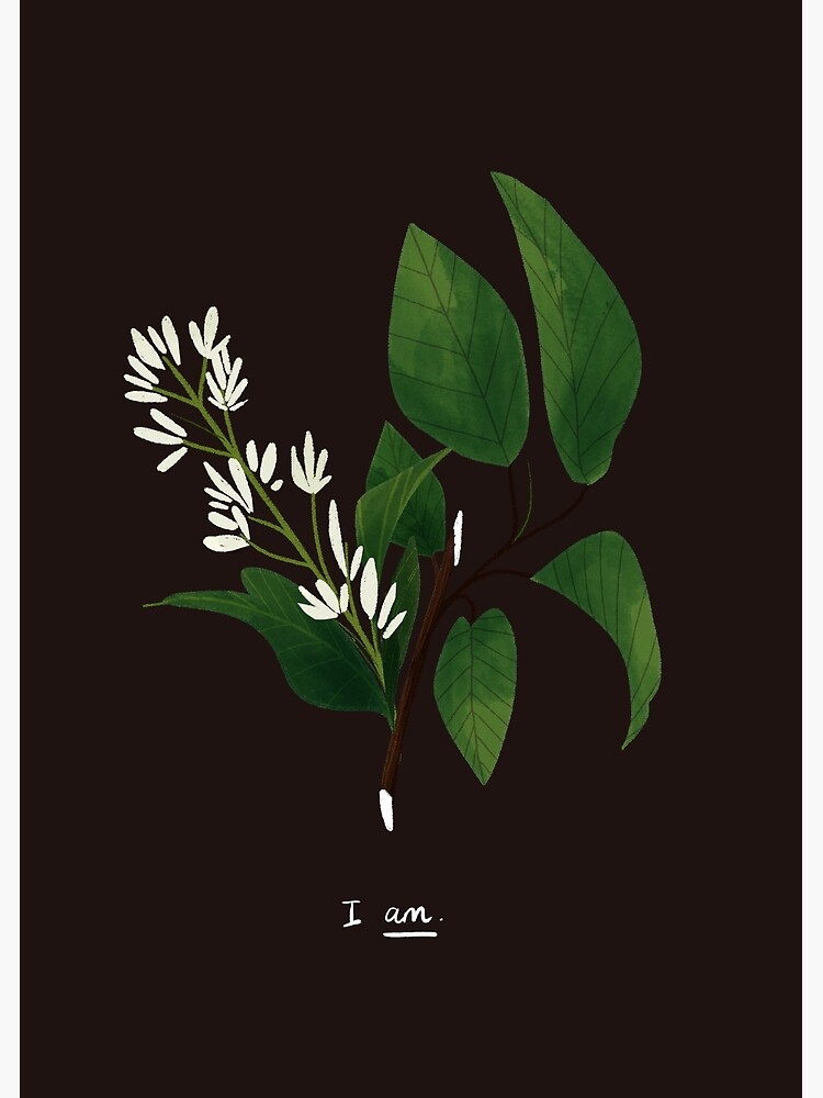Thumbnail 3 of 3, Poster, I Am. designed and sold by reimenayee.