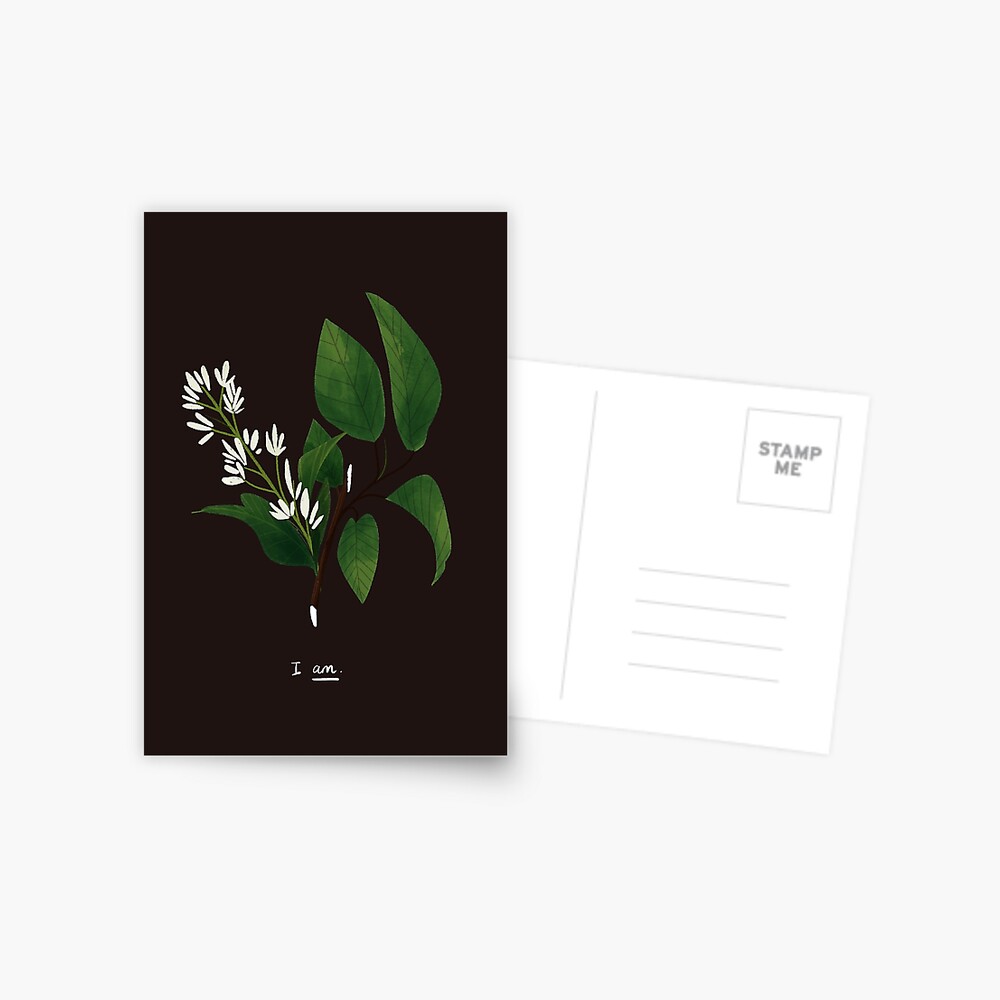 Item preview, Postcard designed and sold by reimenayee.