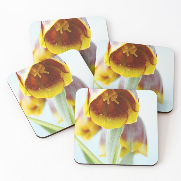 Item preview, Fritillaria michailovskyi   Michailovski fritillary  designed and sold by Chris Burrows.
