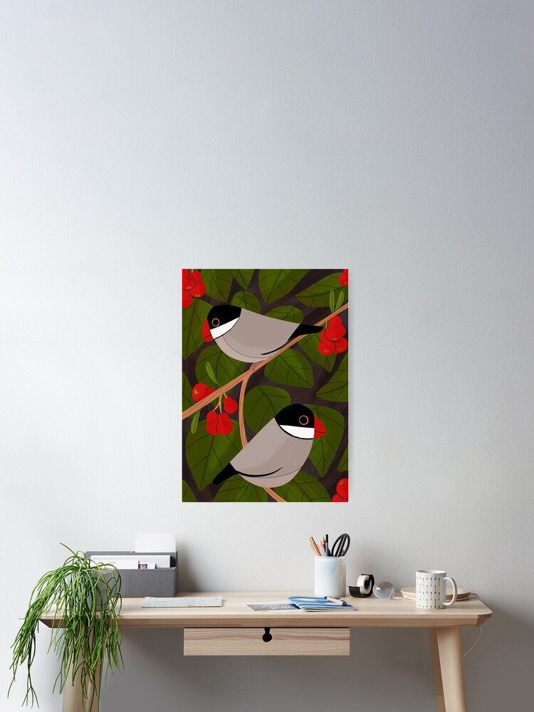 Thumbnail 1 of 3, Poster, Java Sparrow designed and sold by reimenayee.