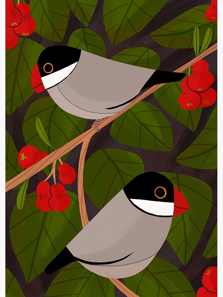 Thumbnail 3 of 3, Poster, Java Sparrow designed and sold by reimenayee.