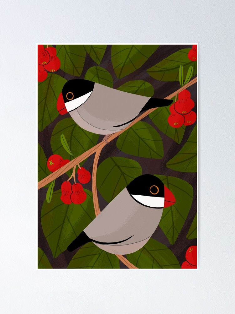 Thumbnail 2 of 3, Poster, Java Sparrow designed and sold by reimenayee.