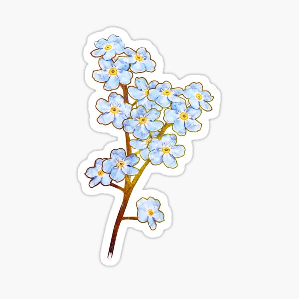 Forget Me Not Stickers | Redbubble