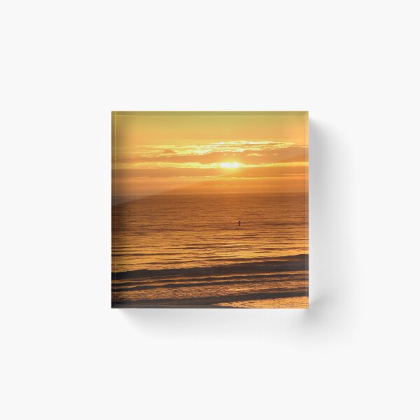 Item preview, Gull's Early Morning Flyby designed and sold by banditandkoko.