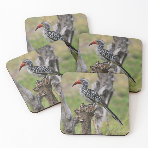 Item preview, Red-billed Hornbill in the Okavango designed and sold by MinkMaguari.