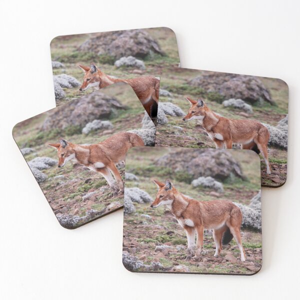 Item preview, Ethiopian Wolf, Sanetti Plateau designed and sold by MinkMaguari.