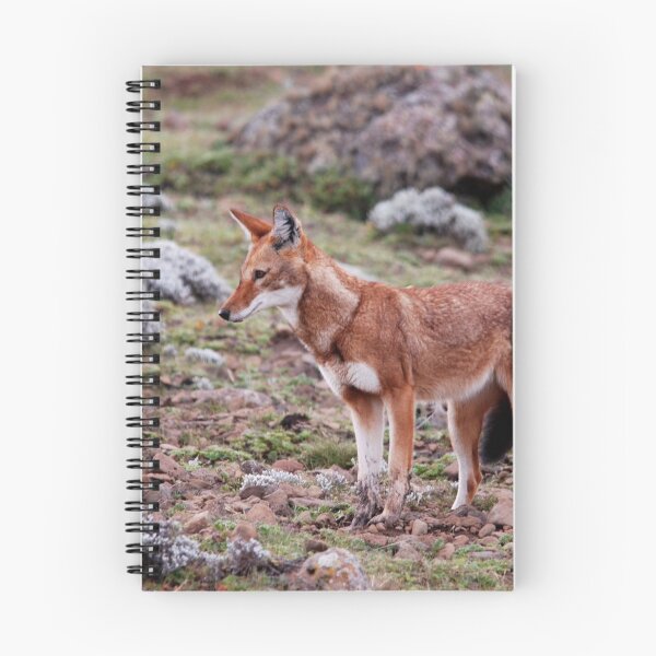 Item preview, Ethiopian Wolf, Sanetti Plateau designed and sold by MinkMaguari.