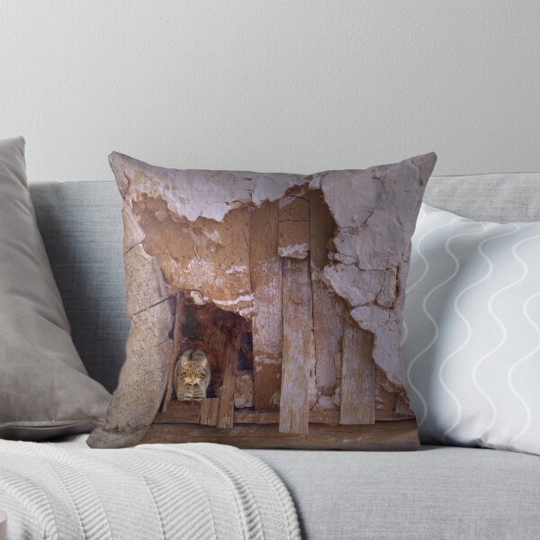 Item preview, Barn Cat designed and sold by webster7.
