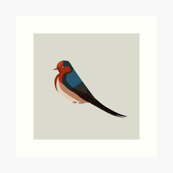 Swallow Art Print