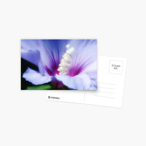 Purple Glory Postcard