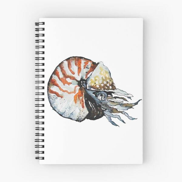 Item preview, Nautilus mollusca designed and sold by Kuhtina.