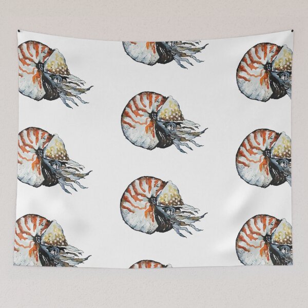 Item preview, Nautilus mollusca designed and sold by Kuhtina.