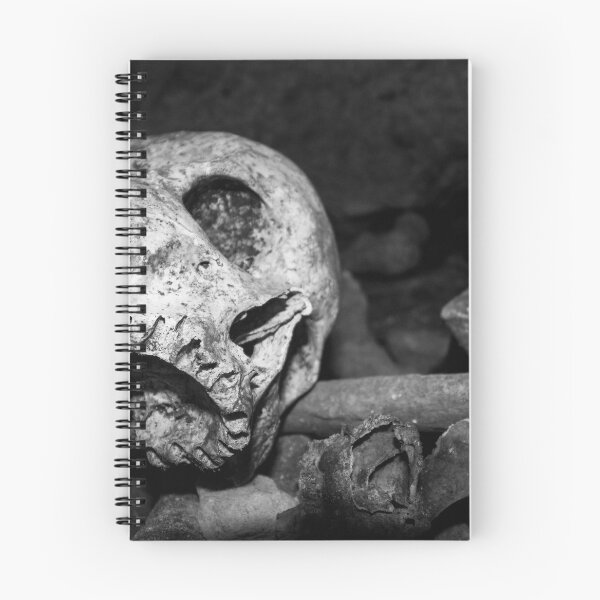 Item preview, Catacomb Skulls 2 designed and sold by YeagerBombs.