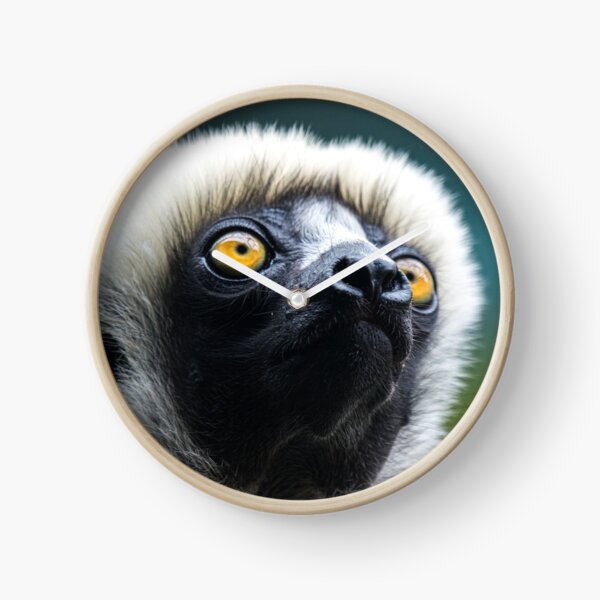 Sifaka Clock