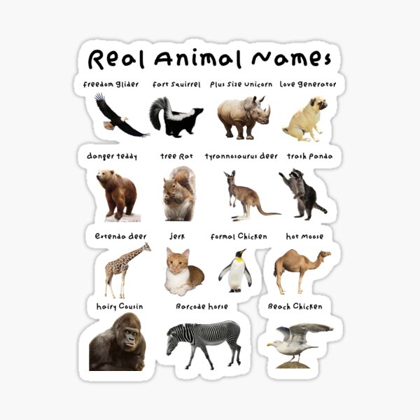 Real Animal Names