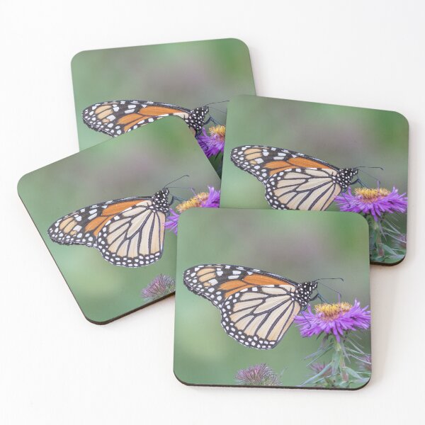 Item preview, Monarch 2019-5 designed and sold by Thomasyoung.