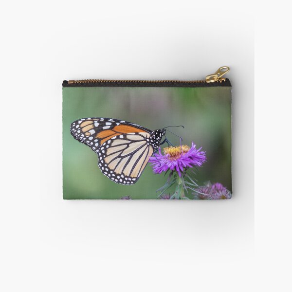 Item preview, Monarch 2019-5 designed and sold by Thomasyoung.
