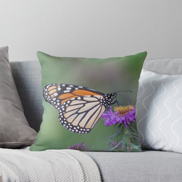 Item preview, Monarch 2019-5 designed and sold by Thomasyoung.