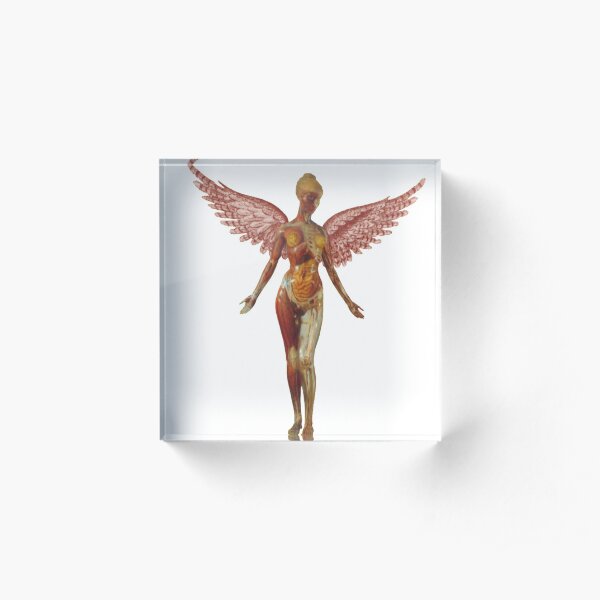In Utero Anatomical Angel Acrylic Block