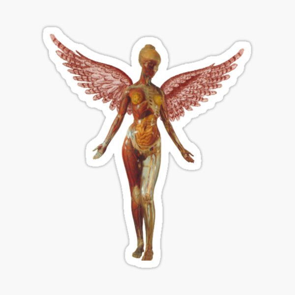 In Utero Anatomical Angel Sticker