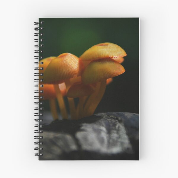Item preview, Champignons.... designed and sold by Poete100.