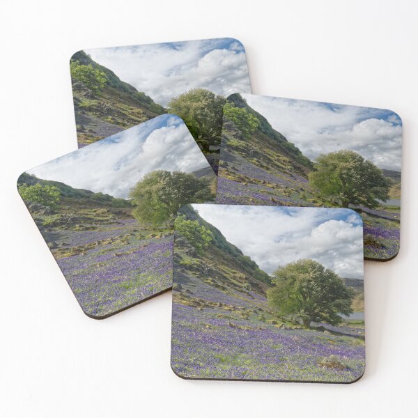 Item preview, Rannerdale Bluebells, Cumbria designed and sold by JMChown.