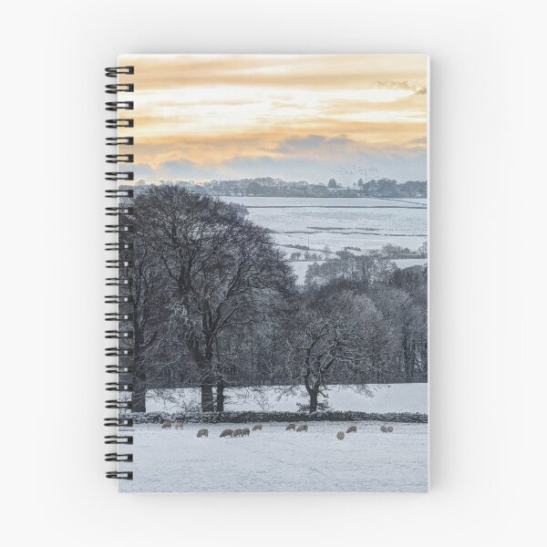 Item preview, Fields in Winter sunset designed and sold by HaleyRedshaw.