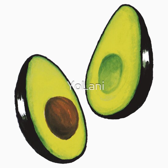 avocado merchandise amazon