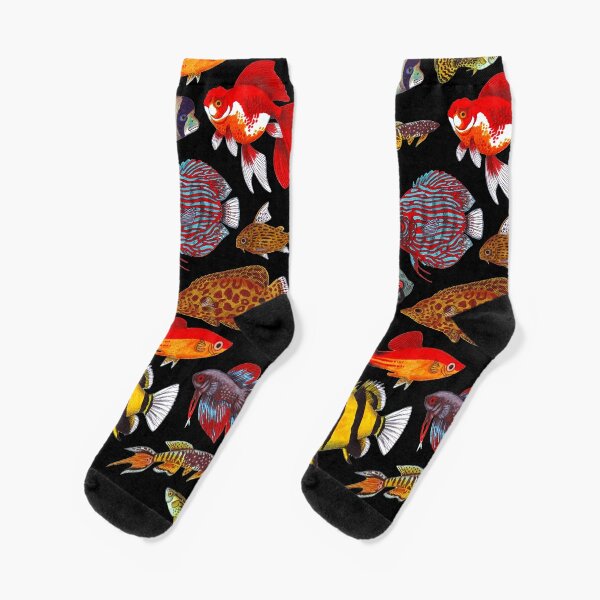 Betta 2025 fish socks