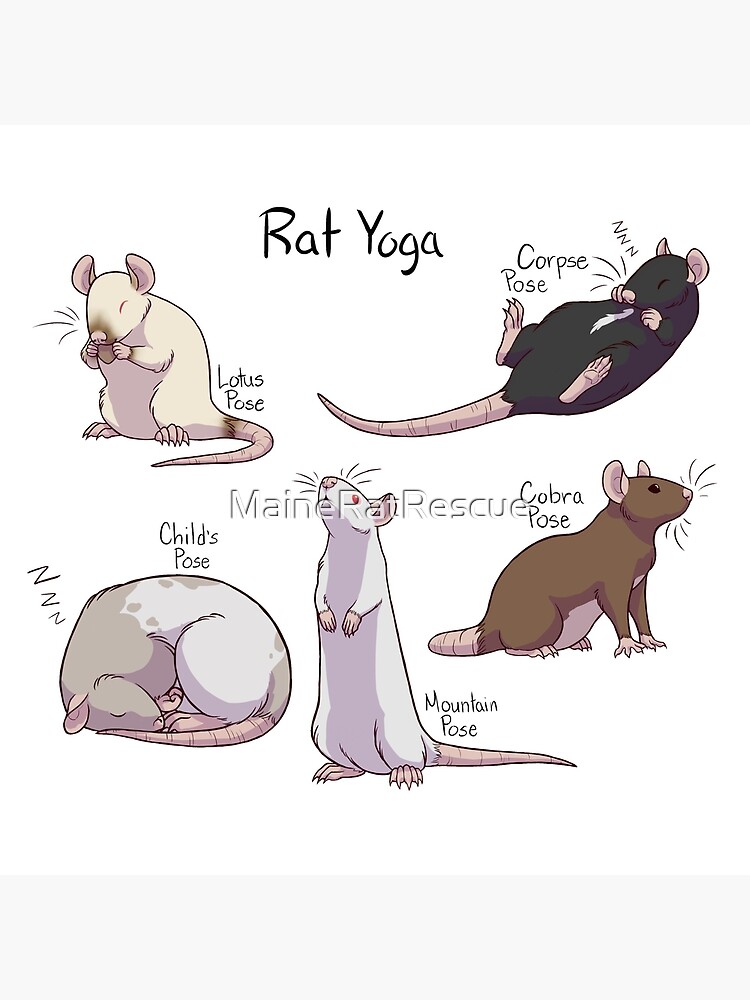 Rat Yoga | Tote Bag