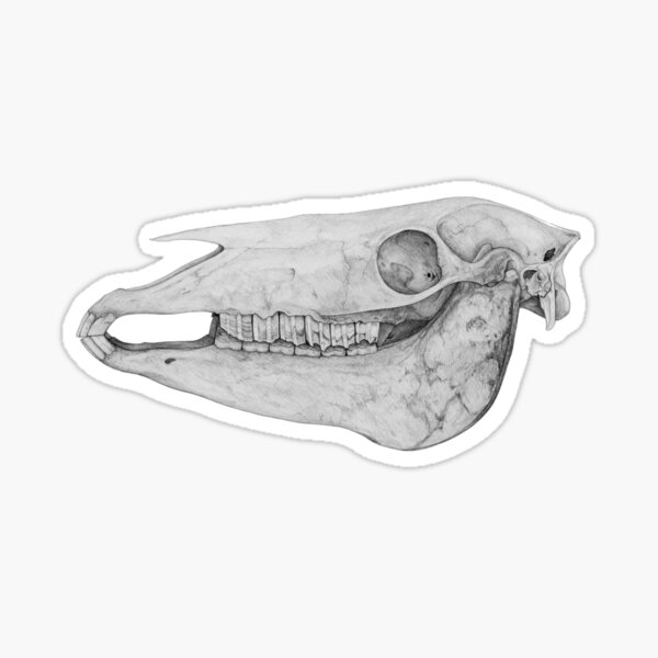 Horse skull Sticker