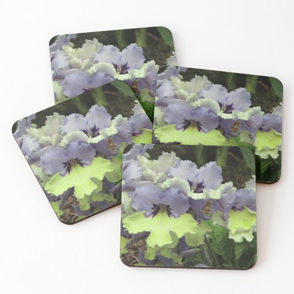 Item preview, cape primrose designed and sold by Floralynne.