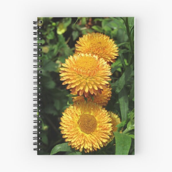 Item preview, helichrysum designed and sold by Floralynne.