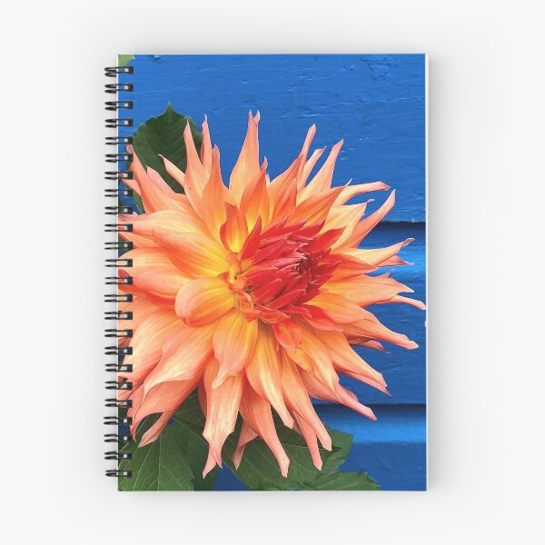 Item preview, Orange Dahlia on Blue  designed and sold by Rachel Imsland.